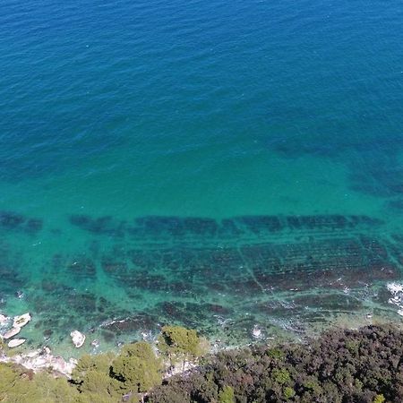 Amare Sirolo Bed and Breakfast Εξωτερικό φωτογραφία